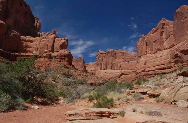 along the Park Avenue Trail between the massive Entrada rock forms